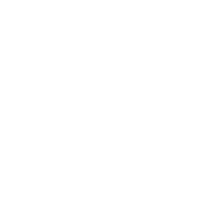 Feniks logo bianco