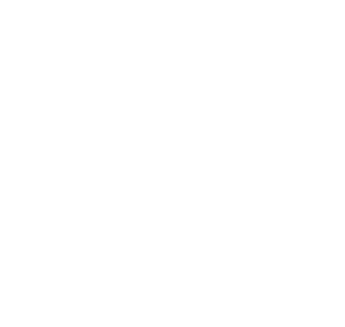 LIGNUMSOFT LOGO